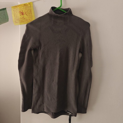 Adidas Terrex Drynamo Merino Wool Base Layer Turtle Neck grey M-L