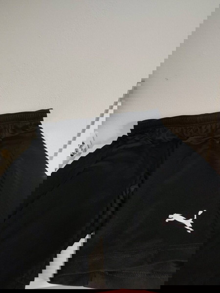 puma shorts