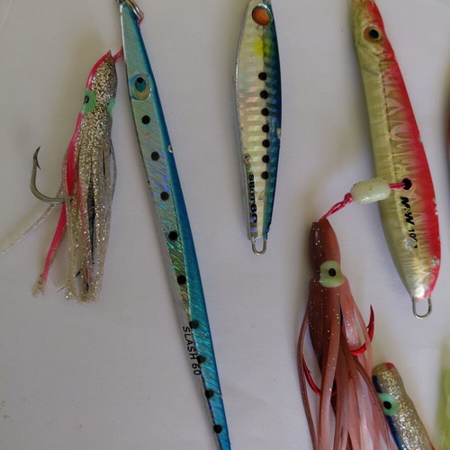 Shore jigging jigs used, Pregio Slash 60gr, Hayabusa Jack Eye Shot 60gr, M&W 100gr Inchiku, Nameless 125gr, 10 silicon octopus