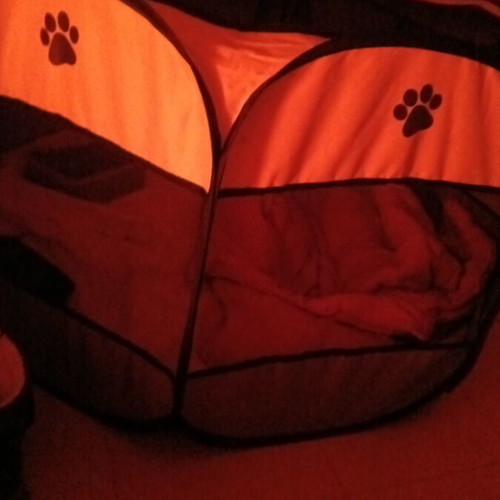 Pet house used with hole in the door