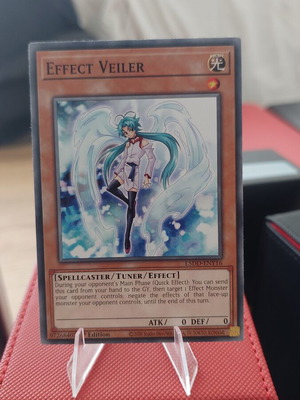 Effect Veiler card