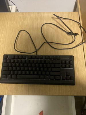 SteelSeries Apex 3 TKL gaming keyboard used