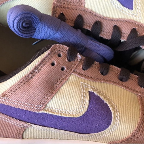 Nike Dunk Low Retro SE new textile unisex sneakers