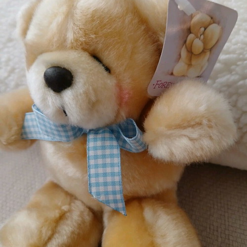 Forever Friends Hallmark teddy bear new with tags 19cm