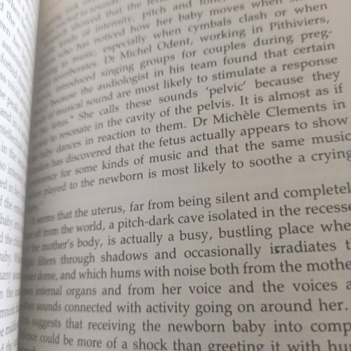 Giving Birth by Sheila Kitzinger English book like new