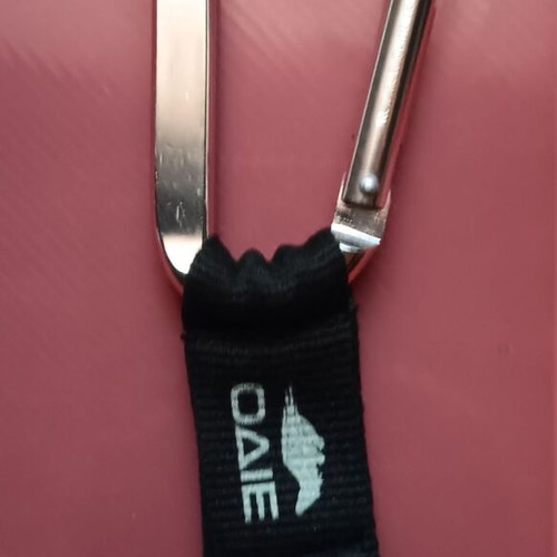 Collectible OΔIE keyring carabiner like new