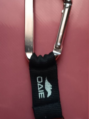 Collectible OΔIE keyring carabiner like new