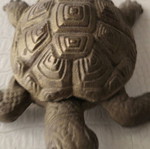 Bronze turtle box like new