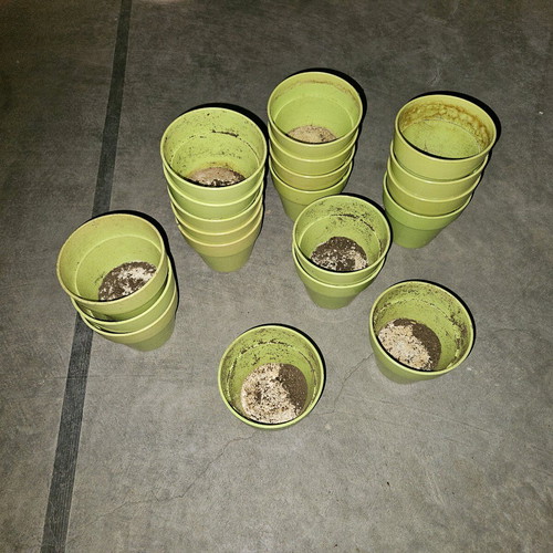 Green flower pots used, pack of 20, height 10 cm