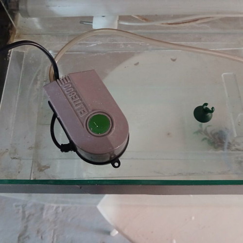 Aquarium used with lighting, filter, oxygen device, and decoration