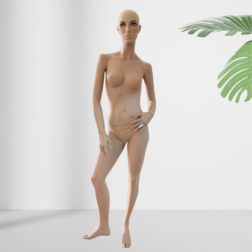 Window mannequin used in very good condition