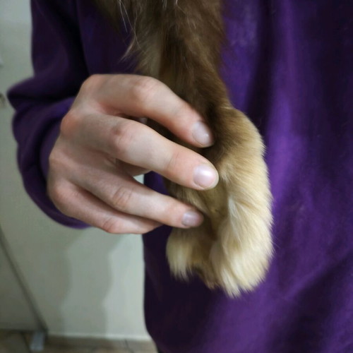 Renard fur from fox new, handmade from Kastoria