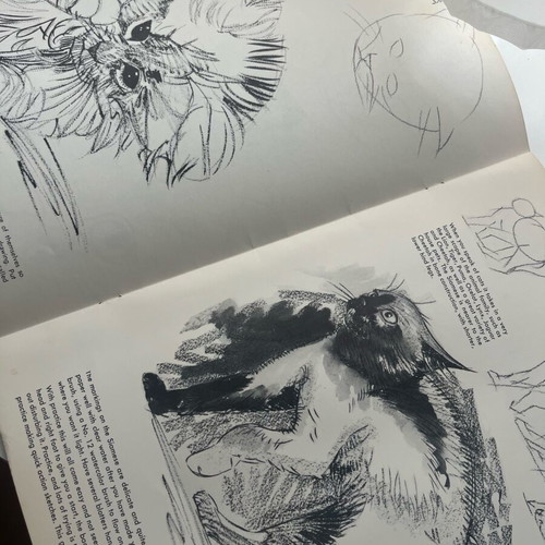 How to Draw Cats book like new, English, 1950s