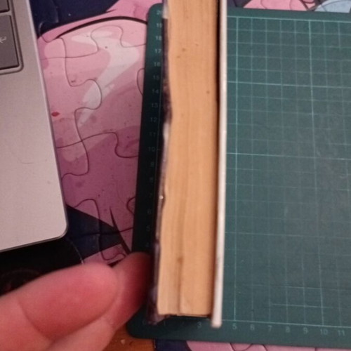 Prayer Book used, Orthodox Christian prayers by Brotherhood "Η Ζωή"