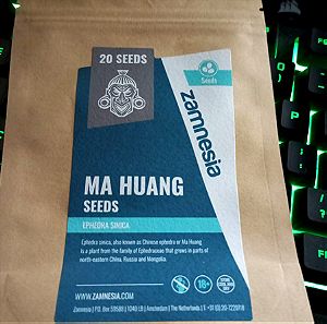 Ma Huang Seeds (Ephedra Sinica)