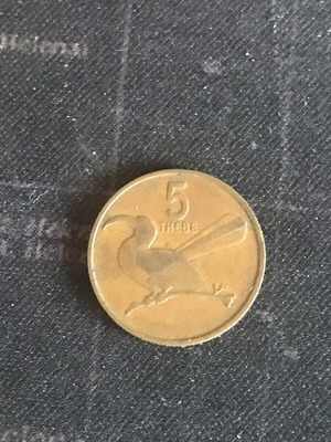 Botswana 5 Thebe coin 1981