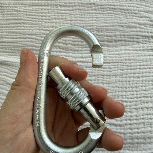 Steel Oval Pro Lock Carabiner CAMP
