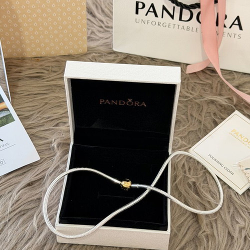 Pandora necklace silver and gold