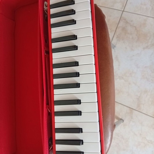 Record Melodica like new with case and two mouthpieces