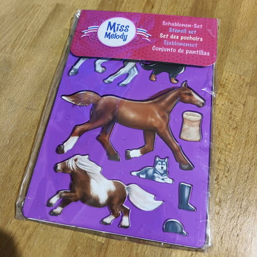 Equestrian stencil set like new