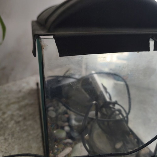 Fish aquarium, 41x20x26 cm