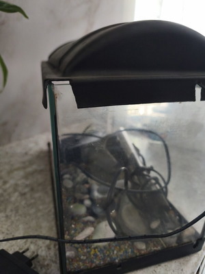Fish aquarium, 41x20x26 cm