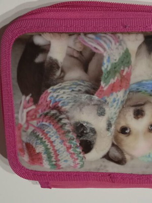 Primary school pencil case used, in good condition