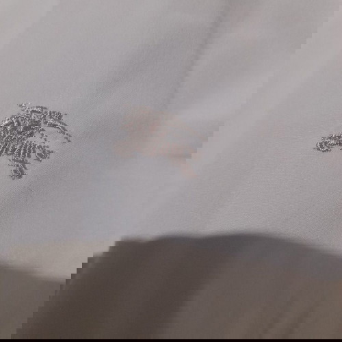 ΑΝΔΡΙΚΟ ΠΟΥΚΑΜΙΣΟ BURBERRY(ΓΝΗΣΙΟ)+ΔΩΡΟ ΠΟΥΚΑΜΙΣΟ H&M
