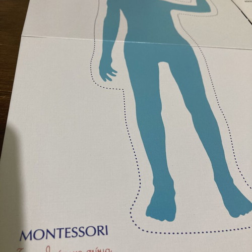 Montessori The Human Body educational puzzle used