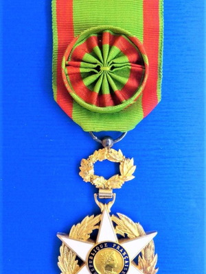 Μετάλλιο Τάγμα Αγροτικής Αξίας Ιππότης μεταχειρισμένο, Γαλλία