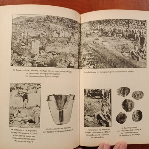The Sleiman of Troy treasure and fraud used book