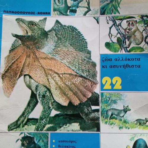 The World of Animals for Children used book