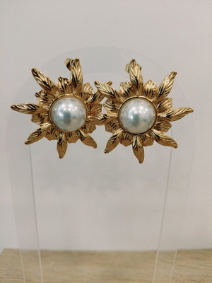 Stainless Steel Earrings new, gold and silver color