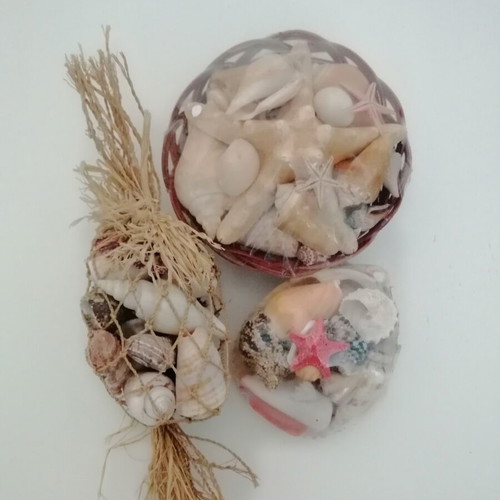 Decorative seashells set with bamboo basket and natural shells