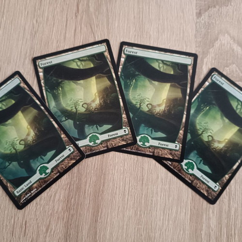 Forest MTG basic land cards mint condition