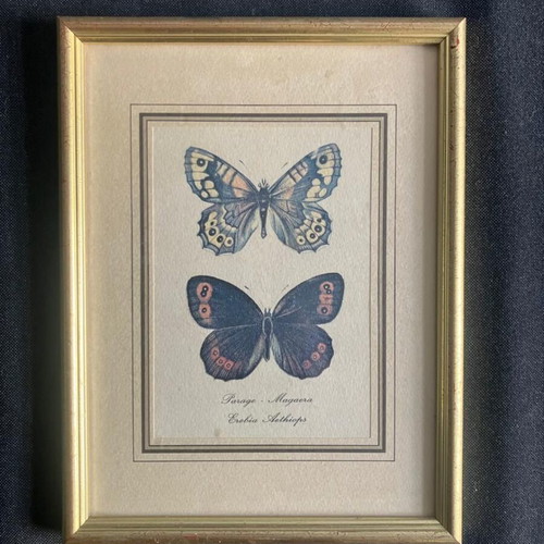 Decorative frame used 20cm x 26cm with butterfly print
