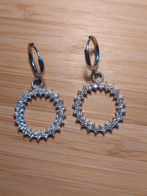 Stainless steel earrings new with sparkling stones