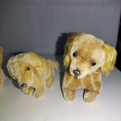 Steiff dolls used, pack of 6 pieces
