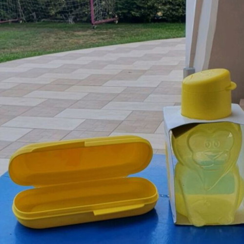 Tupperware Princess Disney kids snack box set with bottle new