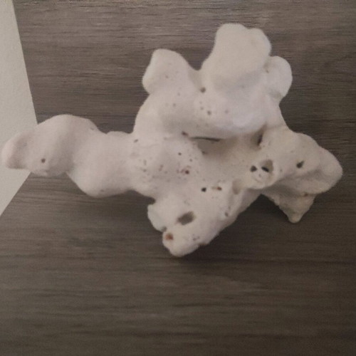 Natural coral and shells from Zanzibar made to order