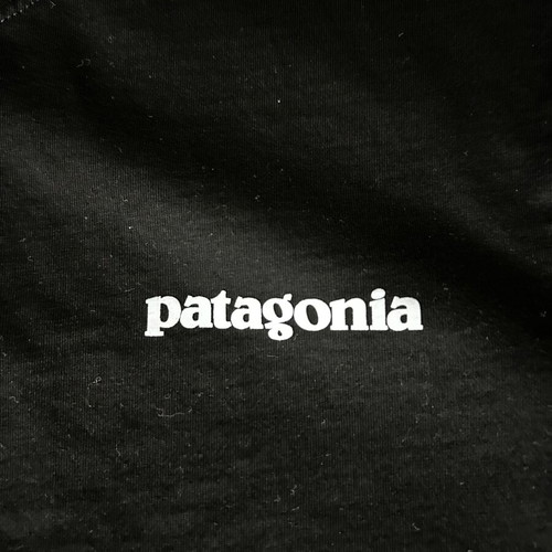 Patagonia Framed Fitz Roy Trout Organic T-Shirt XXL like new, black