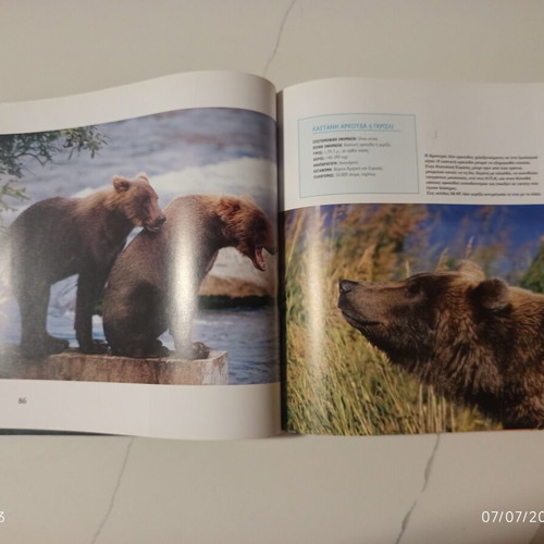 The Encyclopedia of Animals Volume 5 used, Polar Bear and Northern Animals