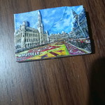 Brussels magnet new