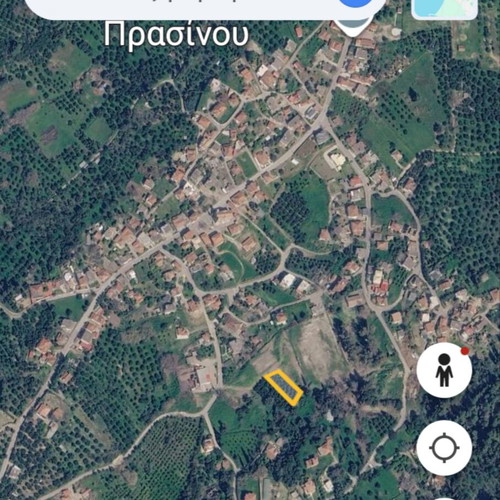Land plots with productive olive trees near Pyrgos Ilia