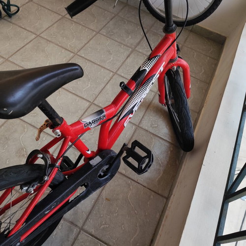 Everest Kids Bicycle used, 20 Inch, V-Brakes, red