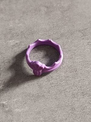 Playmobil crown with design