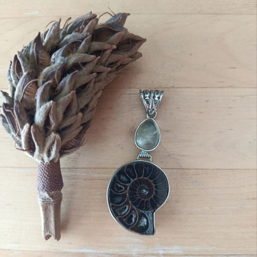 Pendant with ammonite and moonstone like new