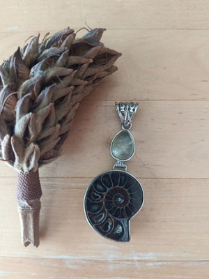 Pendant with ammonite and moonstone like new