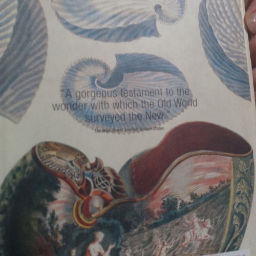 Shells & Corals book by Albertus Seba, Taschen edition, English