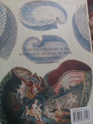 Shells & Corals book by Albertus Seba, Taschen edition, English
